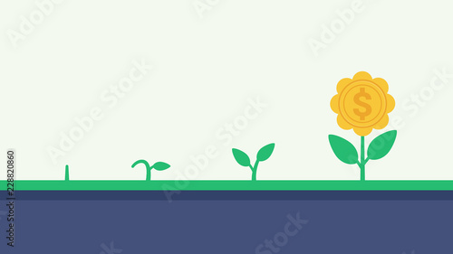 Money plant growth process. Financial growth concept vector illustration