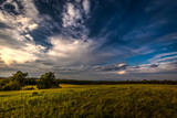 Beautiful, scenic, green meadow with cloudy sky and trees in the background in the sunset in Czech republic near Boskovice