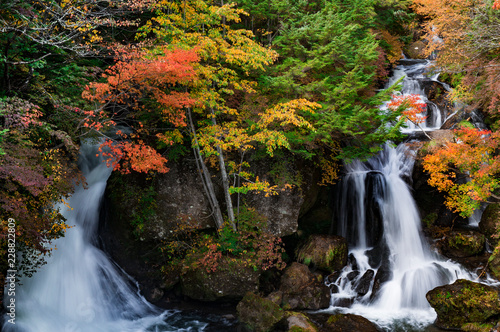 2つの竜頭の滝と紅葉を始めた木々 © のぞみ 田中
