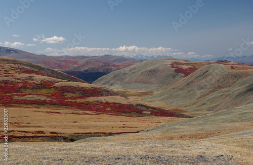 highland steppe valley with dry yellow grass on the background of rocky mountains under clear sky