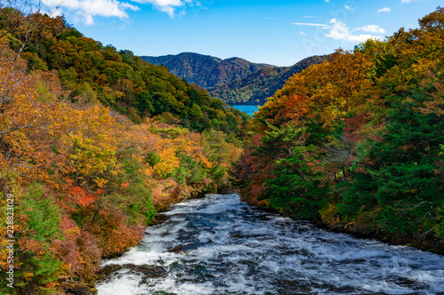 秋晴れの元、紅葉した木々と川と流れつく先の湖