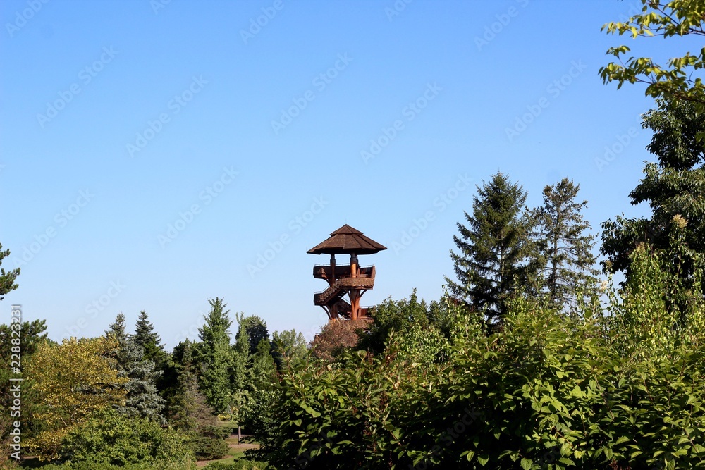 The wood tree house in the background over the trees. The wood tree house in the background over the trees.