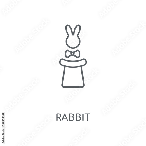 rabbit icon