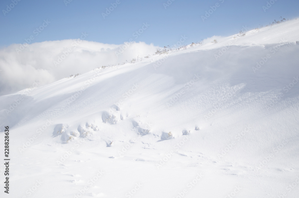Obraz premium EXCURSION A LA NIEVE