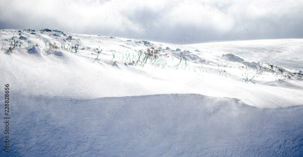 Fototapeta premium EXCURSION A LA NIEVE