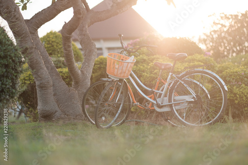 vintage bicycle in nature