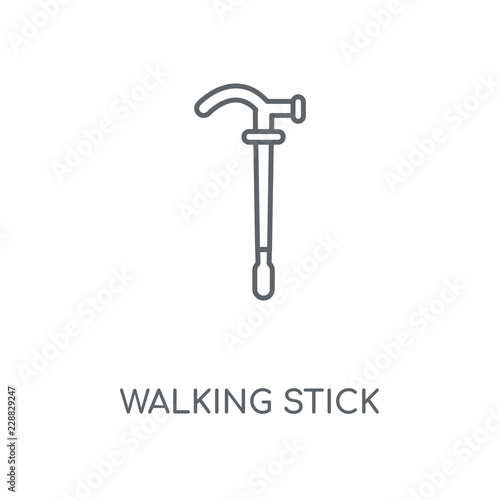 walking stick icon