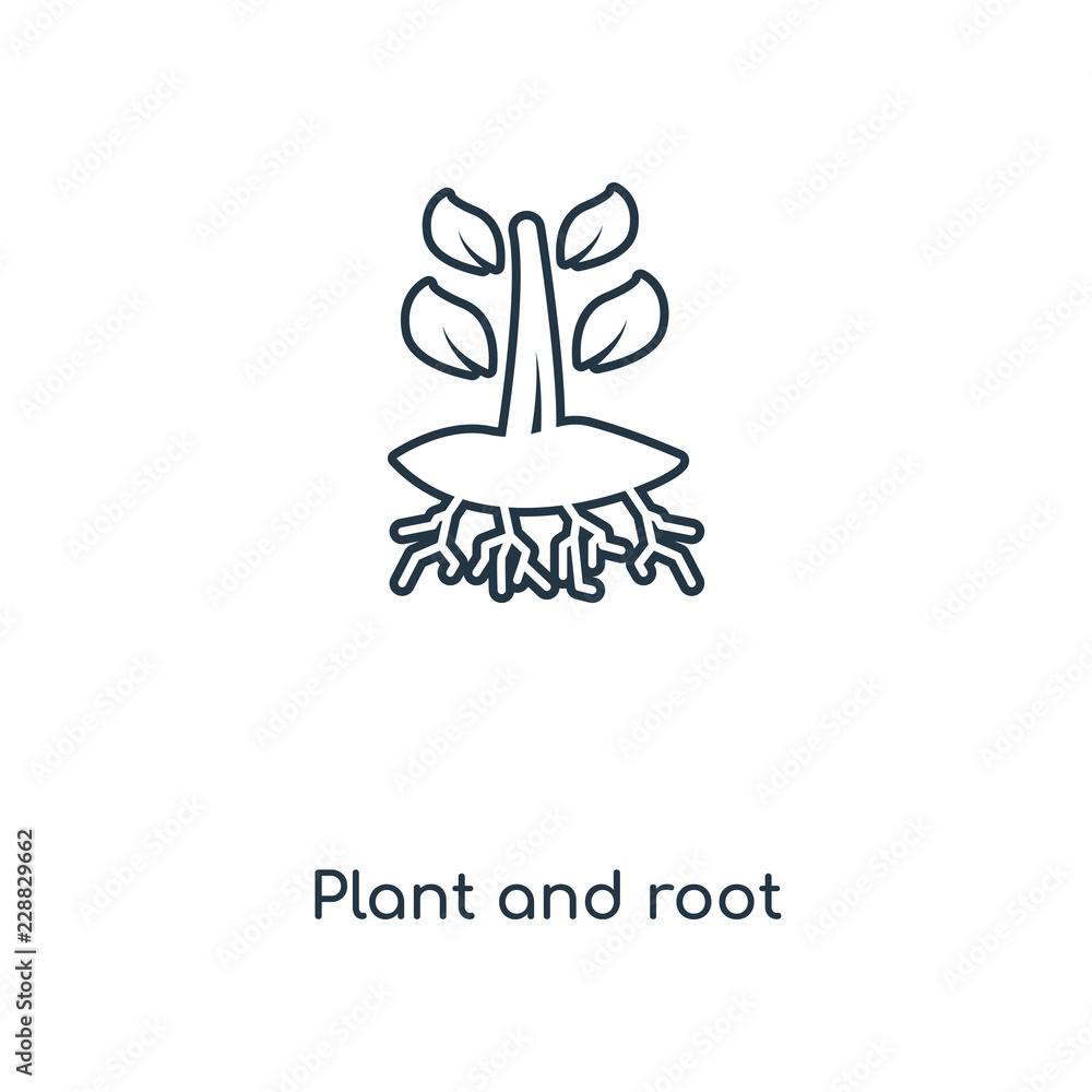 plant and root icon vector plant and root icon vector