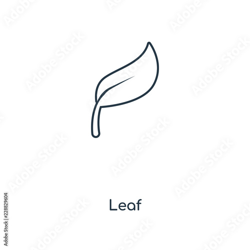 leaf icon vector