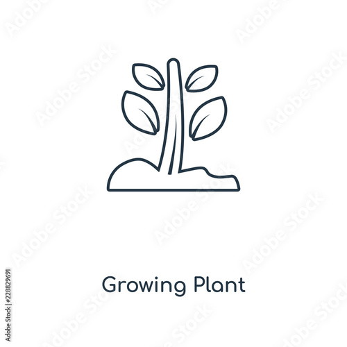 growing plant icon vector