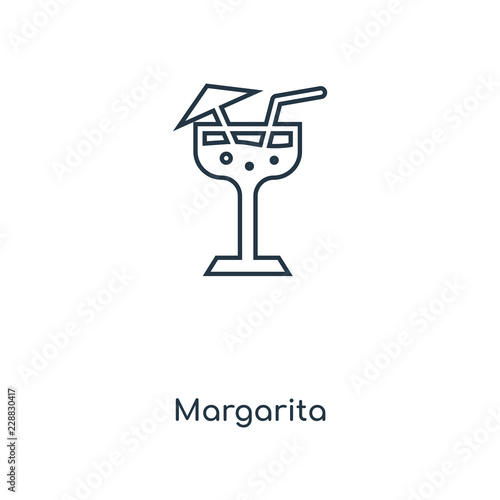margarita icon vector