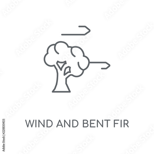 wind and bent fir icon