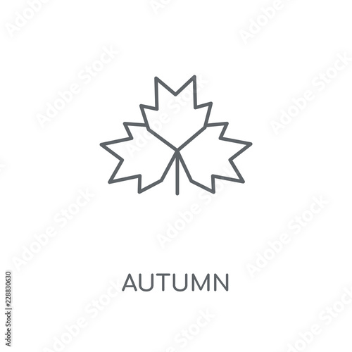 autumn icon