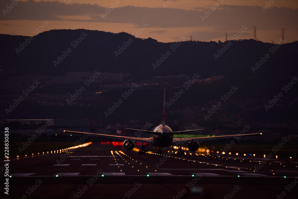 伊丹空港で撮影した飛行機