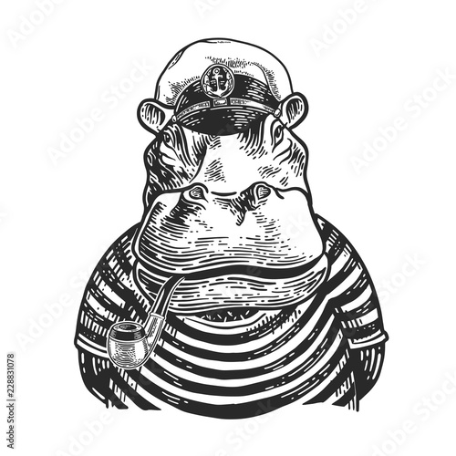 Hippopotamus, dressed in the form of a captain with a tobacco pipe. Vector vintage engraving illustration for logo, emblem, tattoo, poster, t-shirt, web and label. Hand drawn graphic style.