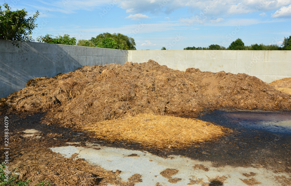 Animal manure is often a mixture of animal feces and bedding straw ...