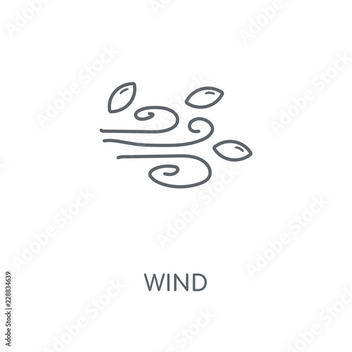wind icon