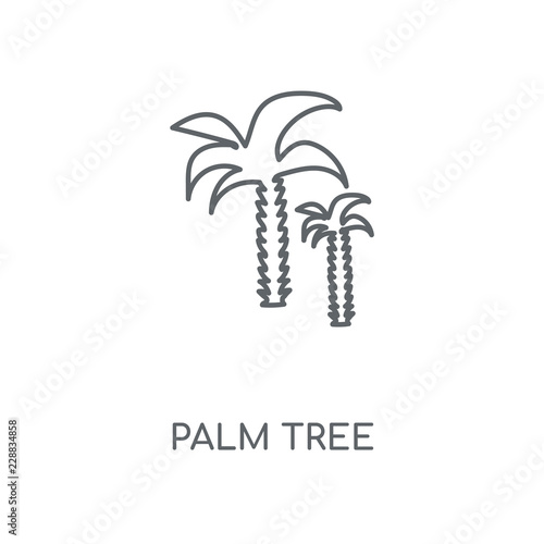 palm tree icon