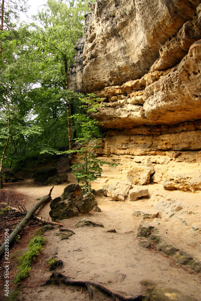 Obraz premium Yellow rocks in Bohemia in czech