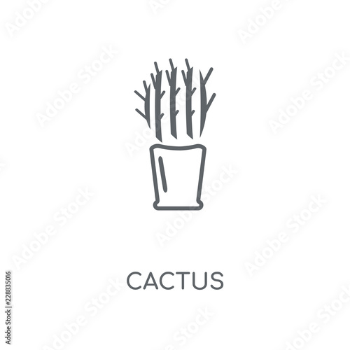 cactus icon