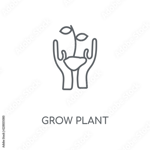 grow plant icon