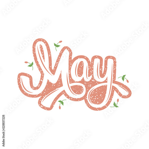 May. Name of the month. Handwritten Lettering. Text. Modern Calligraphy. Vector.