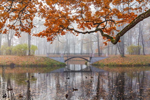 Fototapeta Naklejka Na Ścianę i Meble -  Bridge, fog, autumn. Aleksandvsky Park in Pushkin, St. Petersburg,