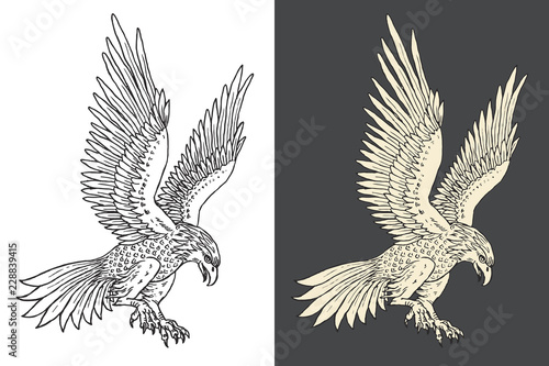 Hand-drawn illustration of the haunting falcon in the engraving style. Vector graphics.