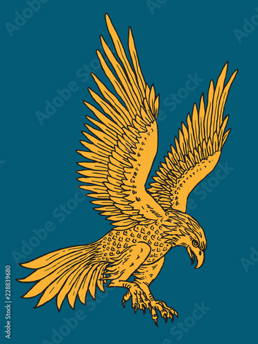 Hand-drawn illustration of the haunting falcon in the engraving style, golden on blue background. Vector graphics.