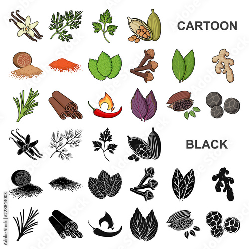 Herb and spices cartoon icons in set collection for design.Different kinds of seasonings vector symbol stock web illustration.