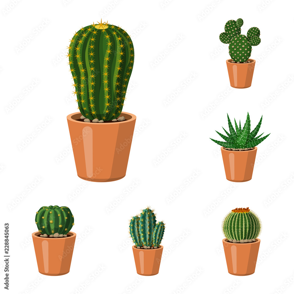 Vector illustration of cactus and pot logo. Set of cactus and cacti stock symbol for web. Vector illustration of cactus and pot logo. Set of cactus and cacti stock symbol for web.
