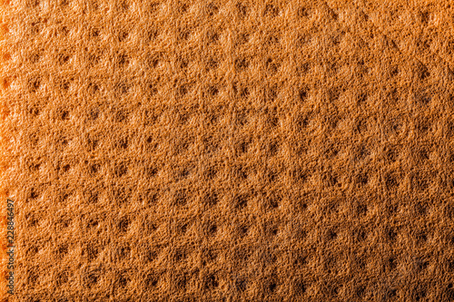 New orange kitchen dishcloth backdrop