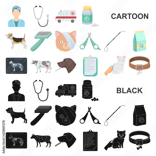 Veterinary clinic cartoon icons in set collection for design. Treatment of a pet vector symbol stock web illustration.