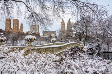 Central Park, New York City in winter