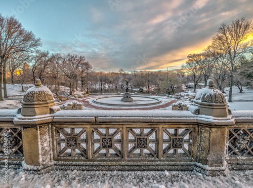Photography Central Park, New York City in winter