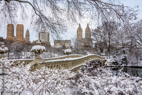 Central Park, New York City in winter