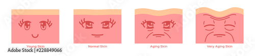 young skin and ageing skin with cartoon face vector