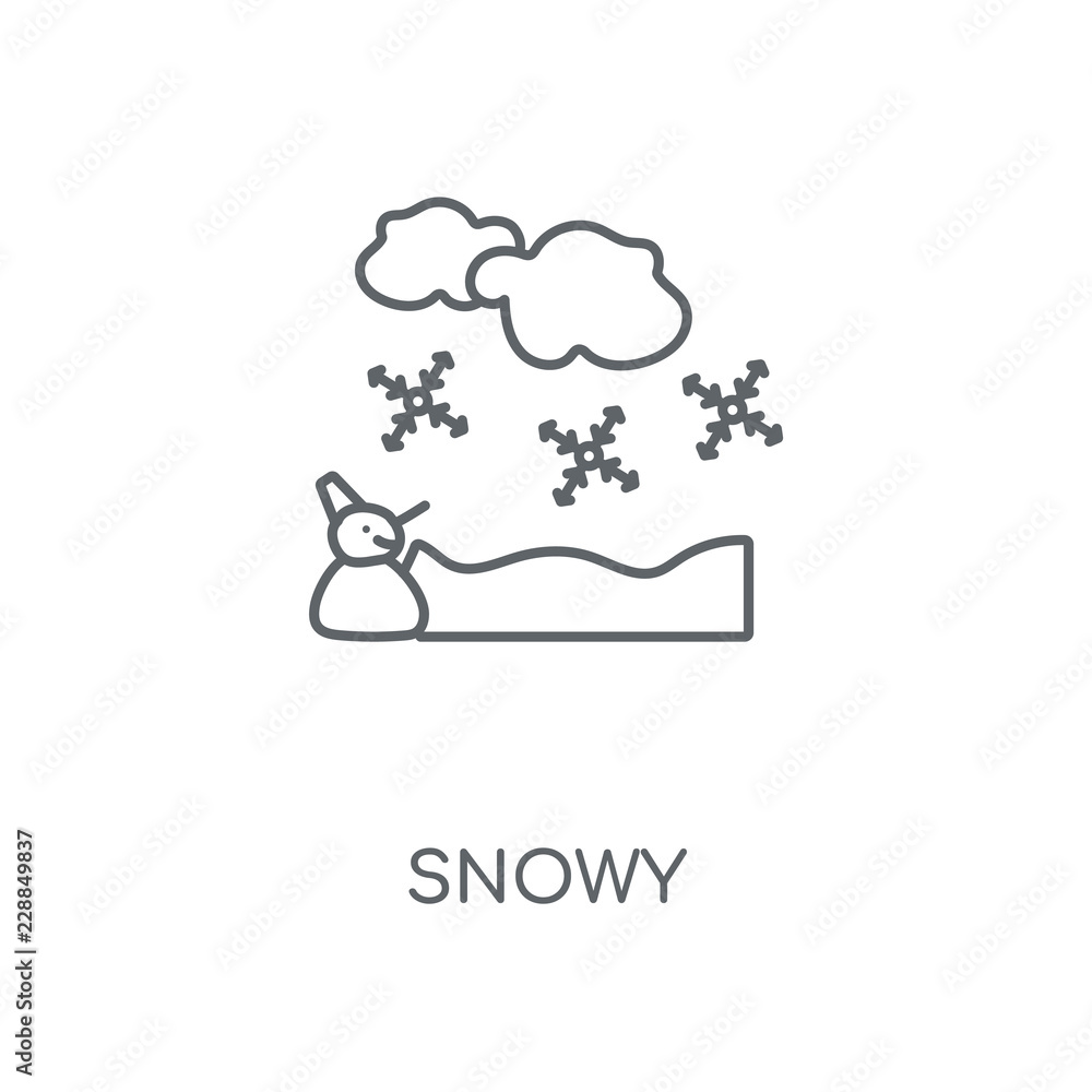 snowy icon