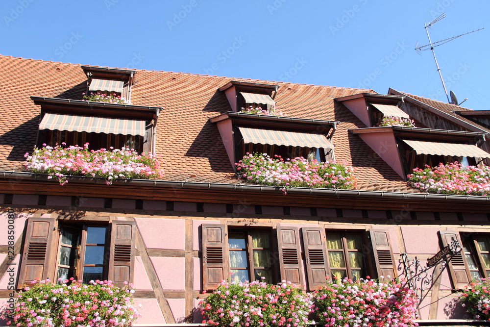historische Altstadt von Ribeauvillé-Riquewihr im Elsass 15