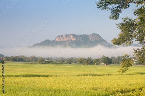 Obraz na plátně Beautiful landscape mountain and ricefield