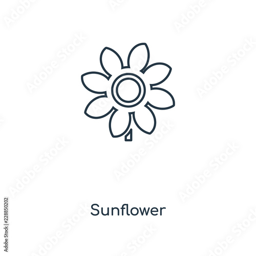 sunflower icon vector