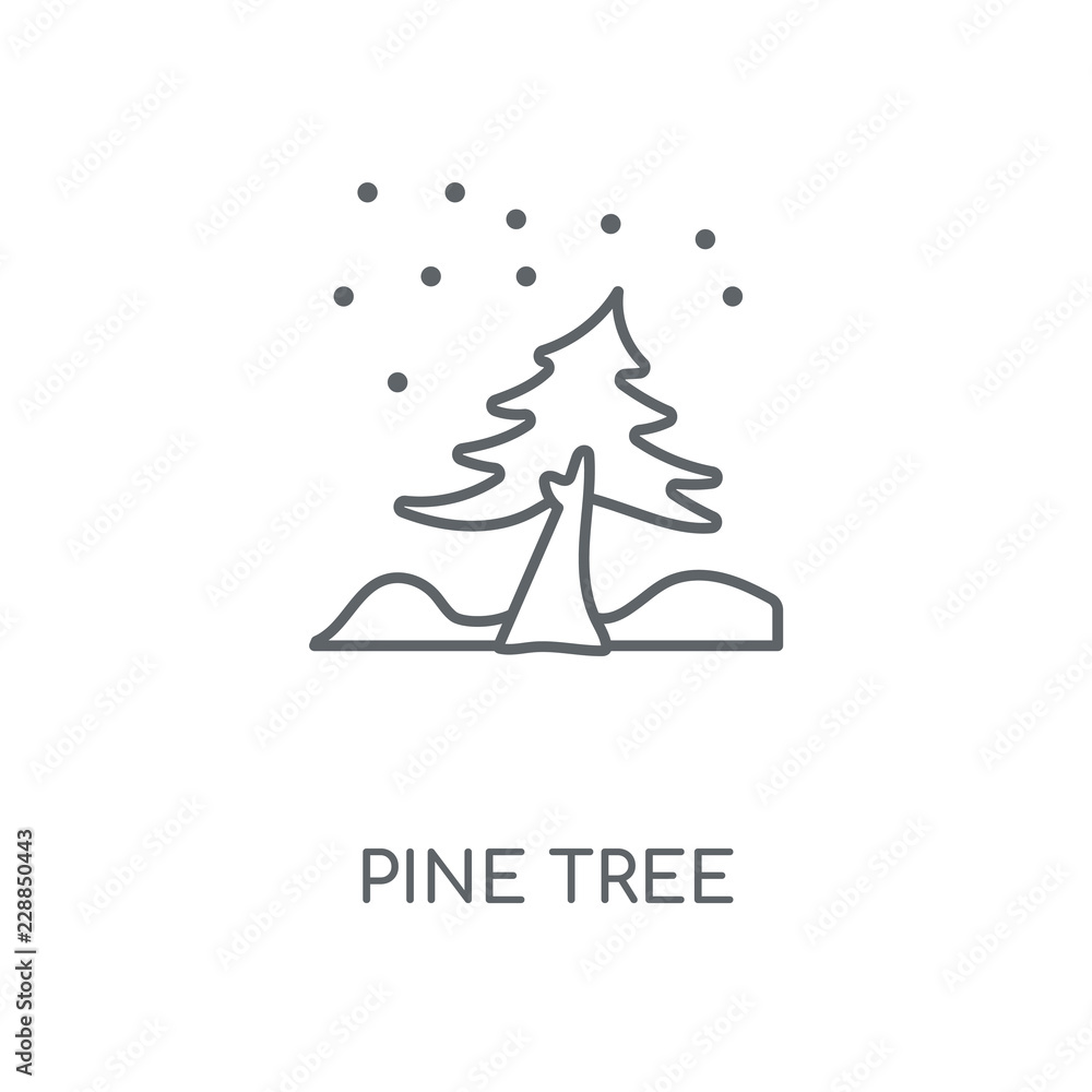 pine tree icon