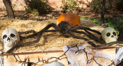 Halloween Display at Mumfest photo