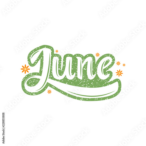 June. Name of the month. Handwritten Lettering. Text. Modern Calligraphy. Vector.