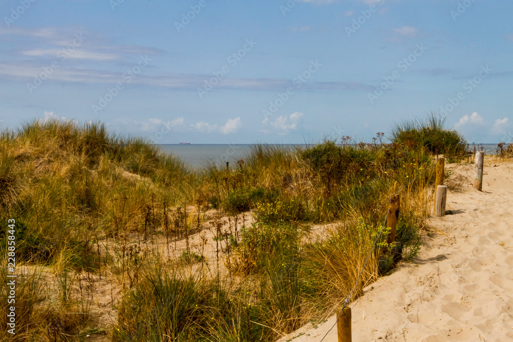 beach beach