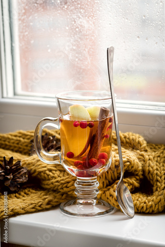 Cup of Hot AutumnTea with Apple Berry and Cinnamon Near a Window Yellow Scarf Hot Drink for Autumn Cold Rainy Days Hygge Concept Autumn mood Vertical photo