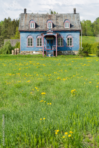 Old house in a field of dandelions