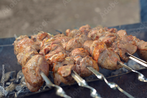 Pork kebab on a skewer