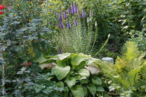 Wallpaper Mural SONY DSC Torontodigital.ca