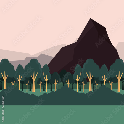 forest bushes and mountains natural landscape